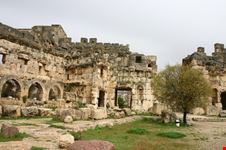 beirut source styve reineck