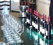 Glasses of Wine