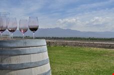 mendoza wine tours
