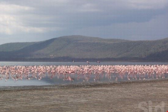 Nakuru