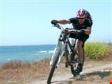 malaga bike rental3