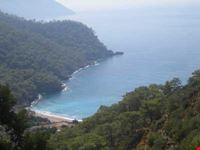 izmir 4t