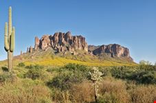National park landscape