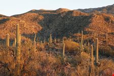 The park at sunset