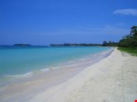 negril source jason bennee
