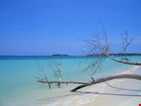 negril source jason bennee