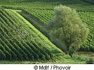 Exploring the Southern France 2