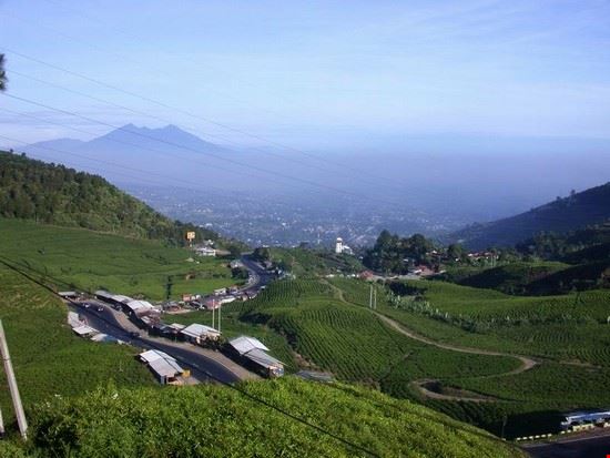 A VIEW IN PUNCAK WEST JAVA/INDONESIA A VIEW IN PUNCAK WEST JAVA/INDONESIA