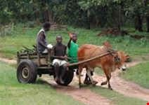 zanzibar zanzibar2