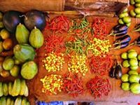zanzibar zanzibar4