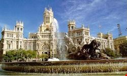 Guided Tours