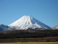 auckland 1l