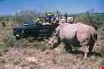 Addo National Park Safari