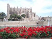 palma de mallorca palma cathedral