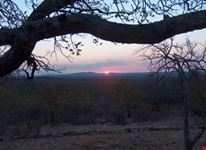 African Landscape
