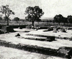 locri