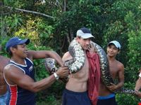 manaus anaconda