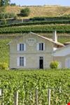 bordeaux wine tours in bordeaux