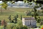 bordeaux wine tours bordeaux