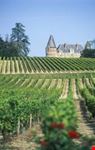 bordeaux wine tours
