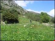 malaga 1trek