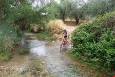 malaga 3 trek