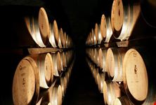 siena winery
