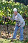 siena chianti wine tour