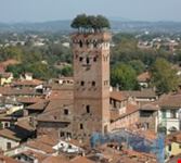 pisa lucca