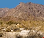 Borrego Springs Borrego Springs