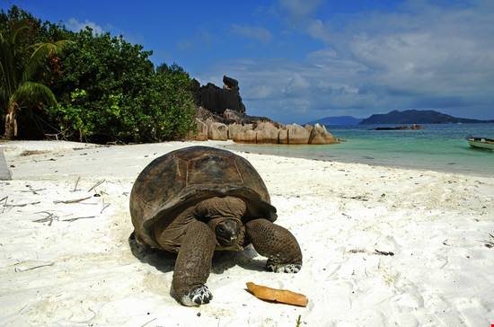 Seychelles: quando andare? Il periodo migliore per partire