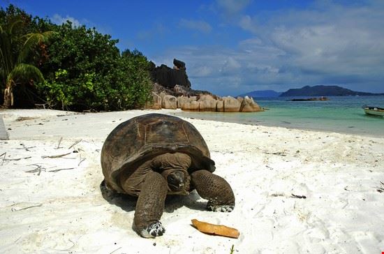  Praslin ©Tian Zhan - Shutterstock ©Tian Zhan - Shutterstock