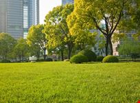 shanghai zhongshan park