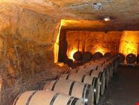 bordeaux underground cellars