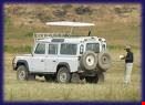 arusha safari landrover