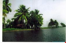kerala rivers