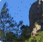alicante nountains2