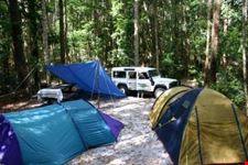 Camping in Nature
