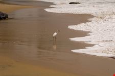 Hawa Beach