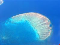 Reef Experience