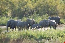 johannesburg kruget national park