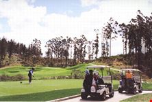 Garden Route Golf