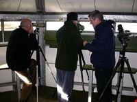 amsterdam birding in holland