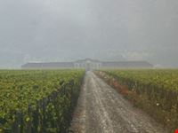 mendoza 3