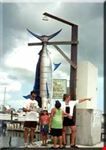 key west keywest1