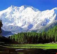 Fairy Meadows Fairy Meadows