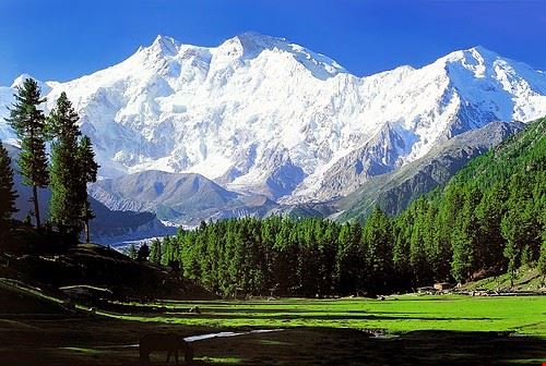 Fairy Meadows Fairy Meadows