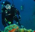 aqaba aqaba1