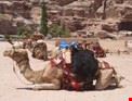 petra petra topur1