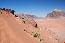 petra source rch